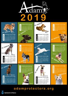 Calendari 2019